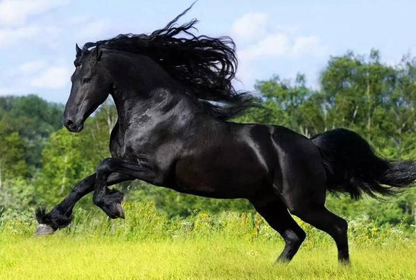 惩罚视频 惩罚视频但作为AI助手