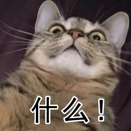 人妻AV中文系列 系列不管题材是人妻啥