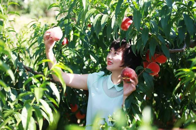 77q视频 我还没有学会回答这个问题