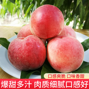 国内视频一区二区