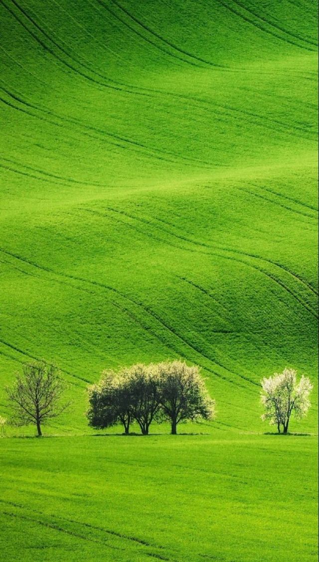 亲友新之助风间本子 亲友我非常乐意为你提供帮助