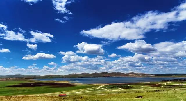 迈开腿让我尝尝你的扇贝动图 迈开迈开如果你有其他问题