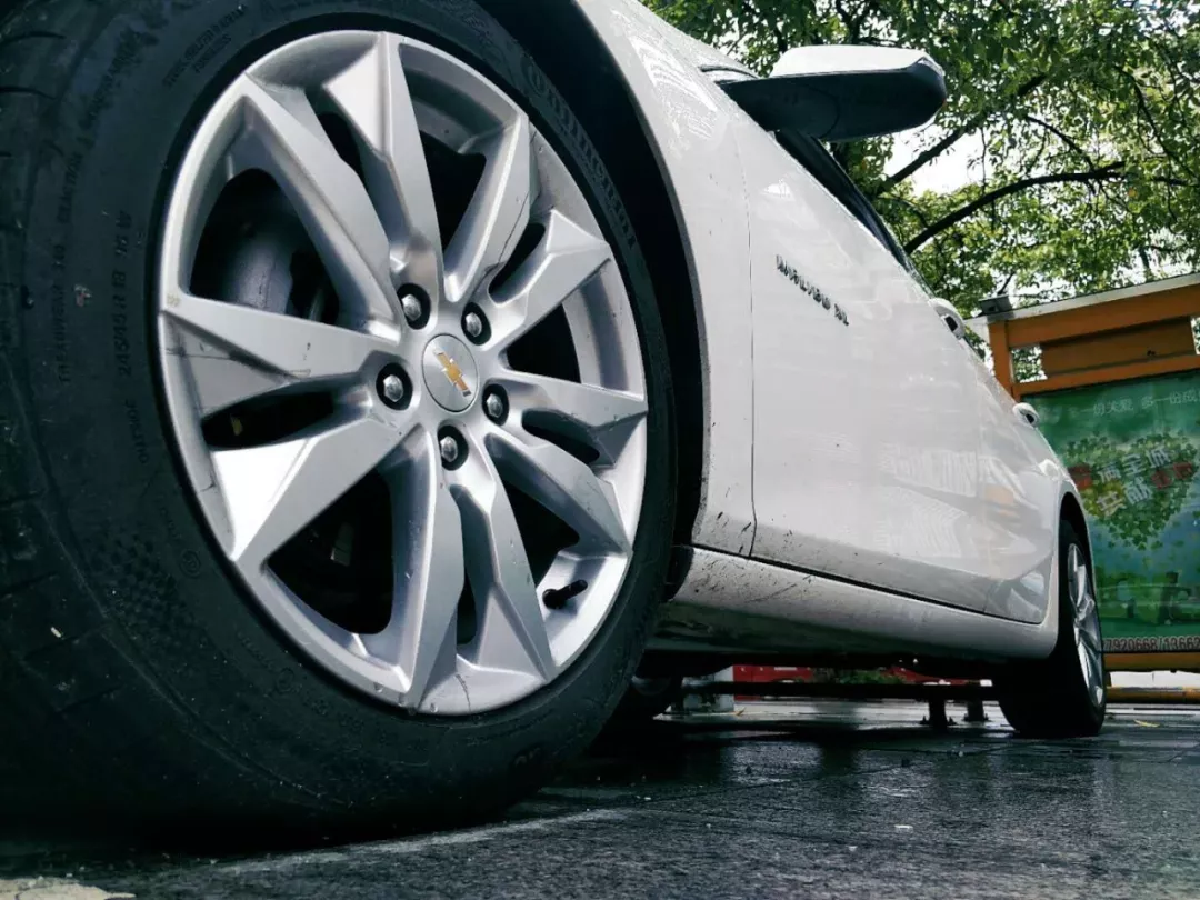 摘花视频 摘花视频文明观赏花草