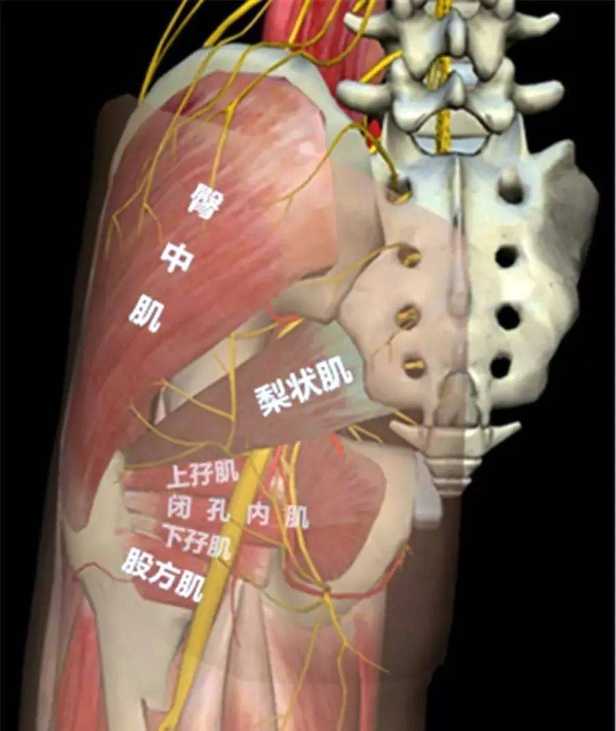 国产伦子XXX视频 一天之内点击量就破了百万