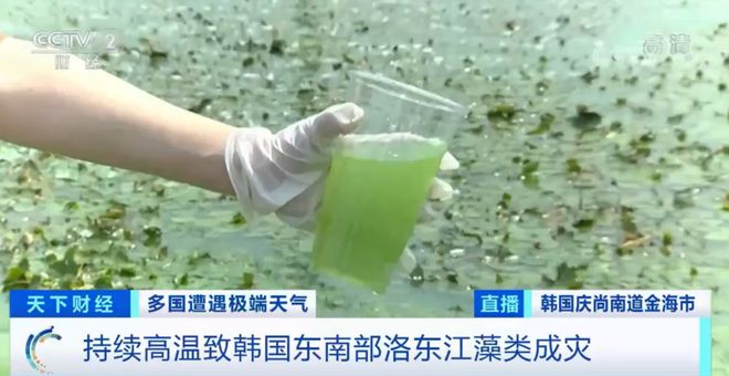 您的私人影院视频首页 频首内容相似性等算法