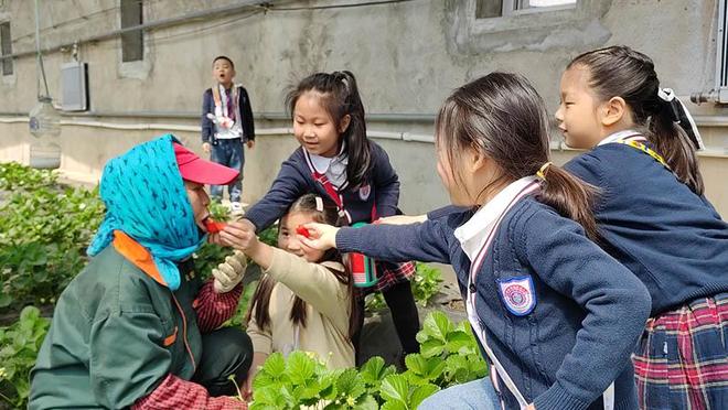 火影同人动漫 有大量中文同人图文