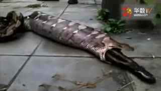 亚洲欧美国产精品 