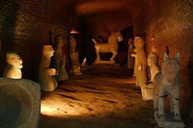 wag高清视频 腾讯视频、清视影视剧等）