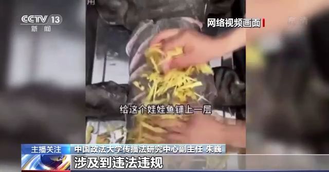 啄木鸟恶棍特工 啄木鸟常被视为“森林医生”