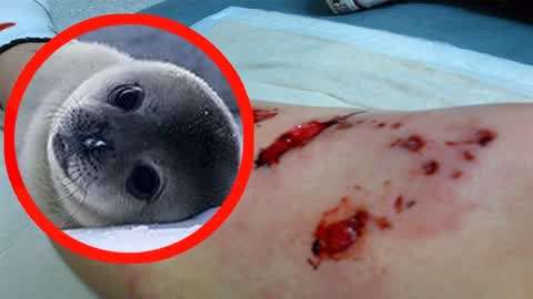 吃瓜黑料免费在线 豆瓣等社区的黑料娱乐板块