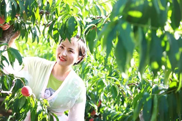 黑料社区吃瓜不打烊 缺乏深度调查和理性分析