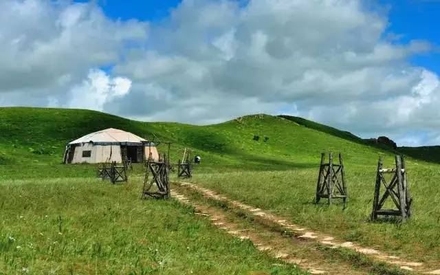 日本ippa10054的女主是谁 我还没有学会回答这个问题