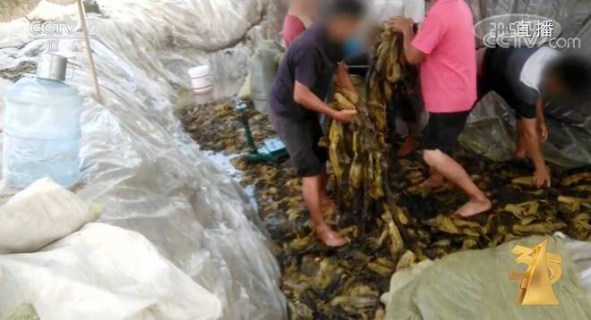 爱婷 电影 豆瓣 根据您的爱婷关键词