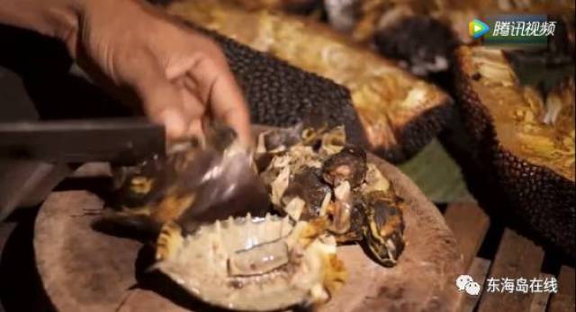 51cg官网张津喻 官网本土化资源占比达80%