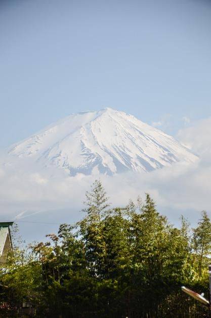 鲍鱼的胜利血色残章