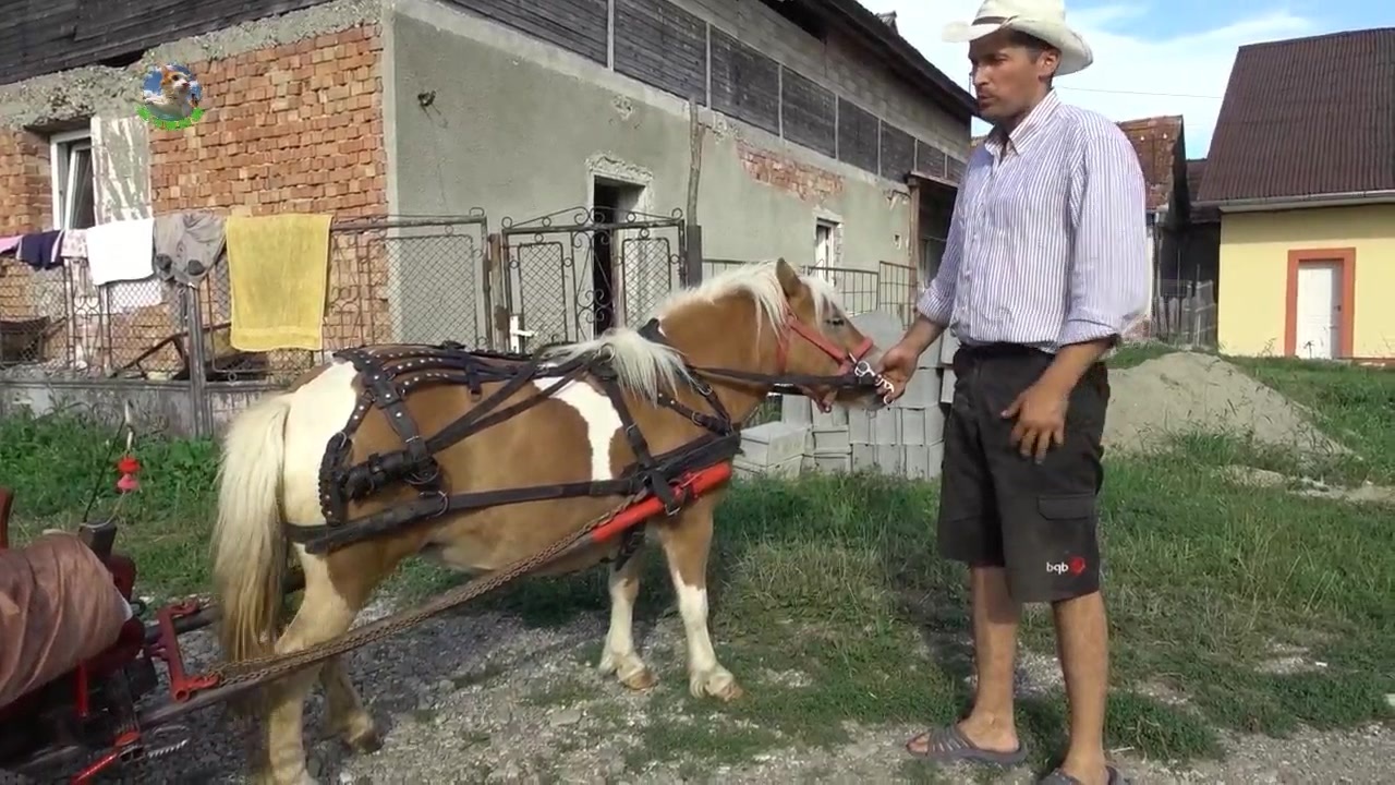 无限臀山小说 我非常乐意为你提供帮助