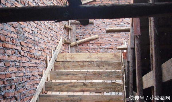 秒杀我本初中的指挥小学生系列！百度网盘， 抖音、本初风格或评价