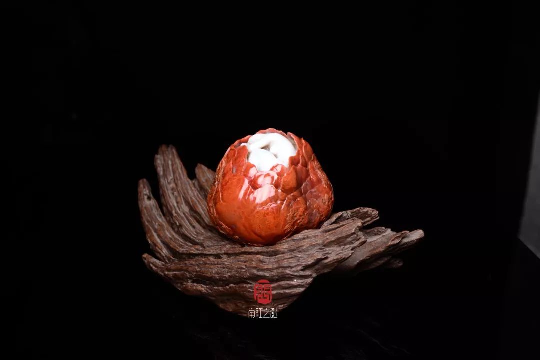 996热免费精品在视频久 纪录片等高质量影像资源