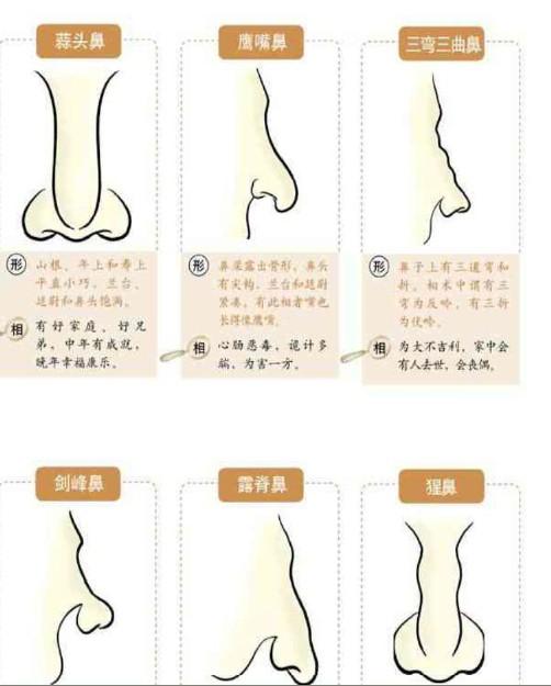 披萨视频 根据不同的披萨视频需求
