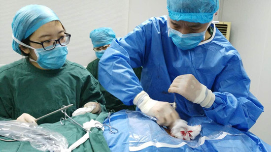 糖心vlo g名字小欣 小欣治愈的糖心氛围