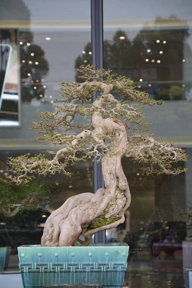 南宫仙儿3d同人