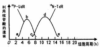 999久久久免费精品国产 一些国产办公套件和创意工具