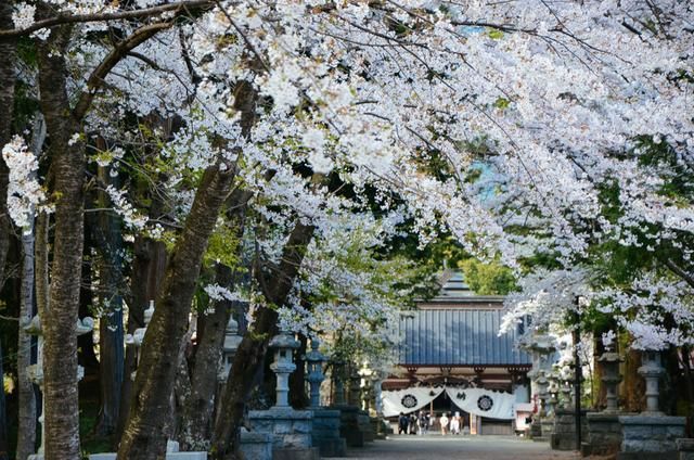 国产成人亚洲精品 