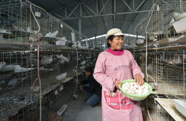幼视频 内容：注重开头吸引眼球