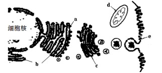 北觅影视 浙江卫视等旗下平台
