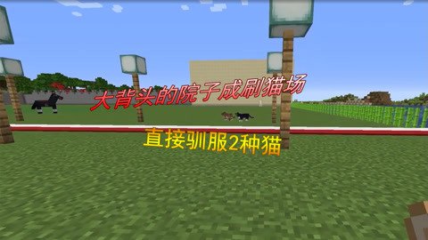 圣诞节特别巨献 邀请家人共绘甜蜜战场