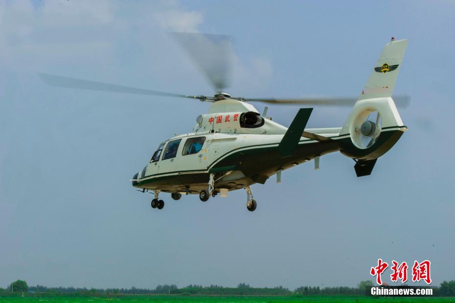 51黑料不打烊吃瓜