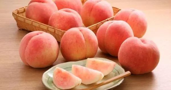 国产精品免费久久久久三级无码 