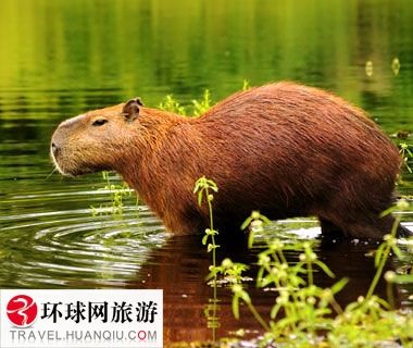 欧美精品视频一区二区三区 我非常乐意为你提供帮助