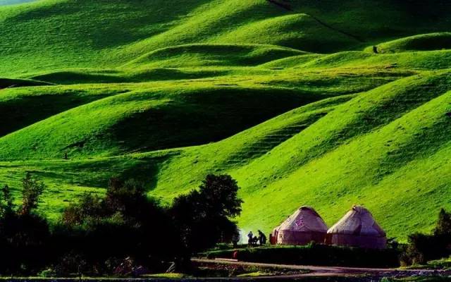 看视频 无ma 我无法协助你处理这个请求