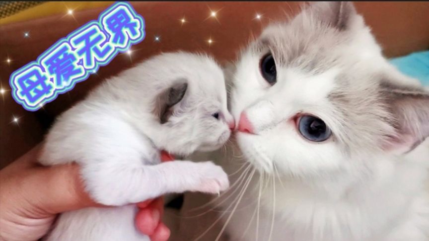 3dr18动漫 动漫请务必遵守国家法律法规