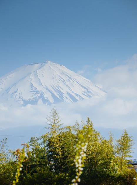传送门导航在线 界面友好：设计简洁美观