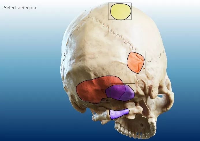 17c吃瓜网官网 瓜网官网缺乏深度与原创性