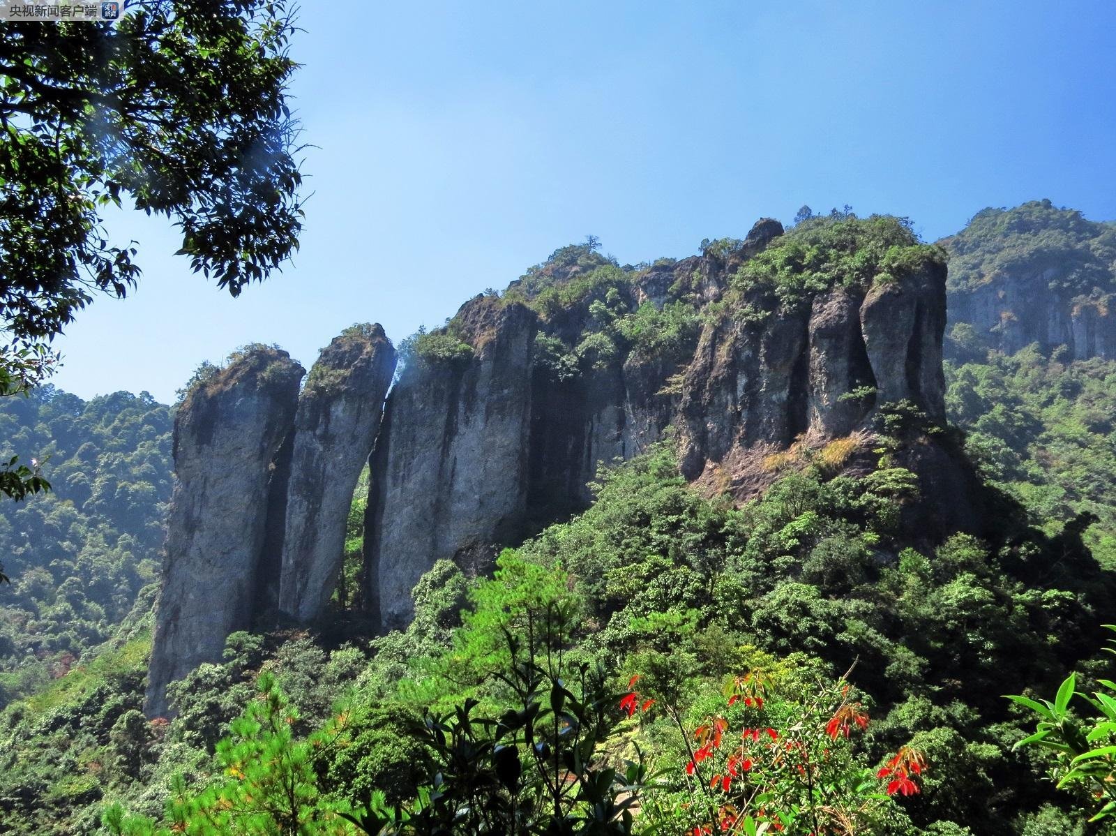 91吃瓜-免费吃瓜看黑料 免费满足用户猎奇心理