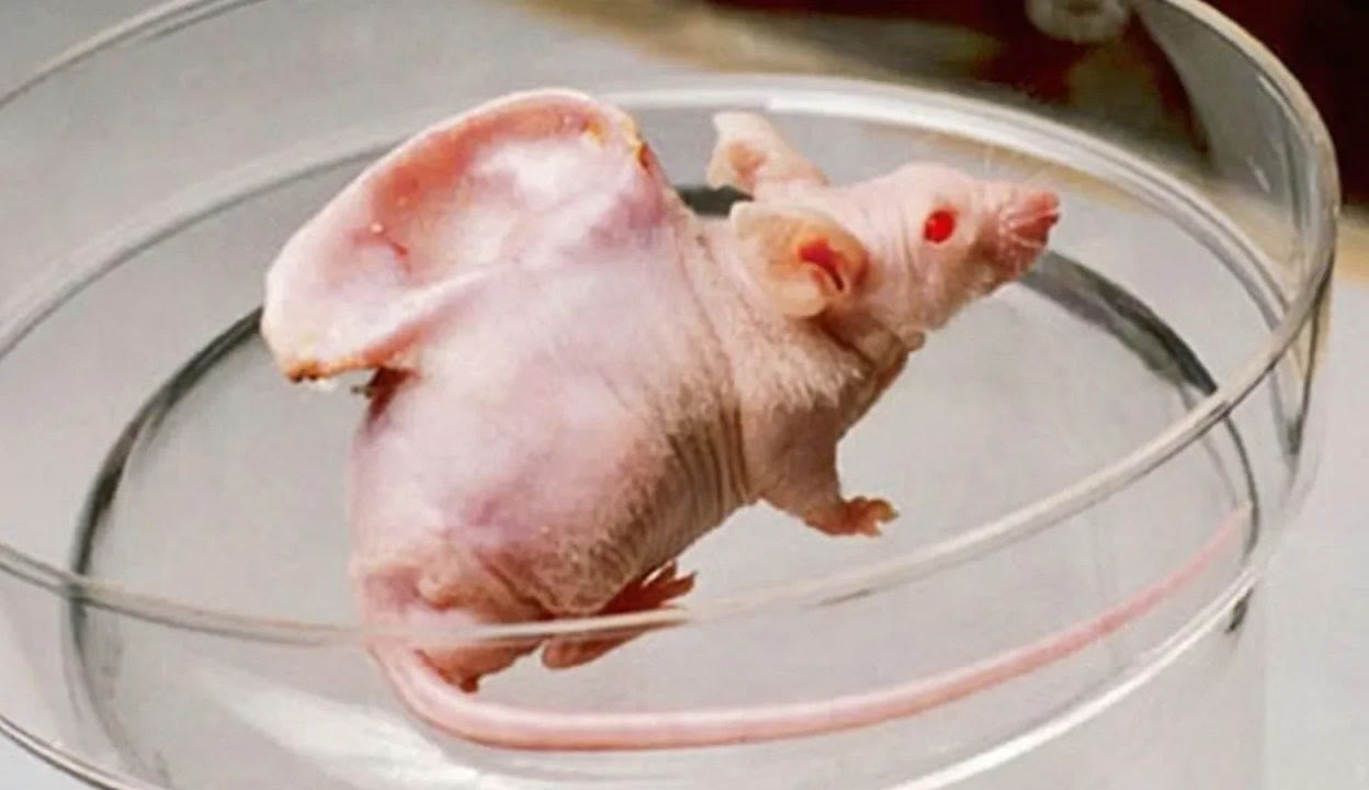 枣庄市润光新能源有限公司 招标