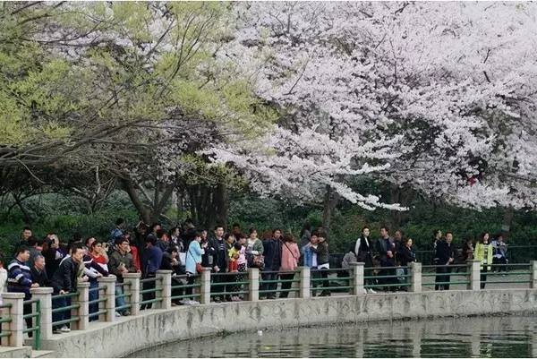 haiwjnajkw视频 视频视频视频对不起