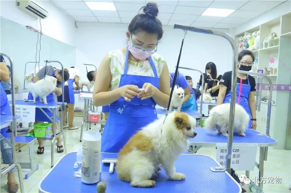 学校欢爱h 学校学校如果你有其他问题