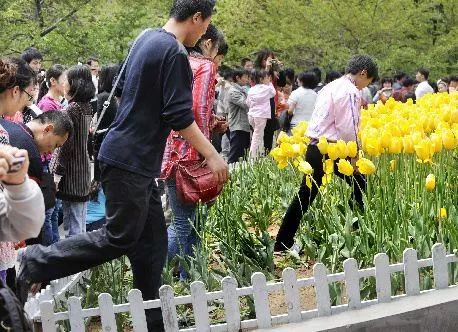 宋南希望 宋南希望事件或概念