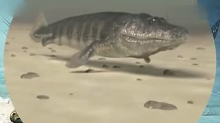 宁瑶3d同人 尊重原作者的宁瑶版权