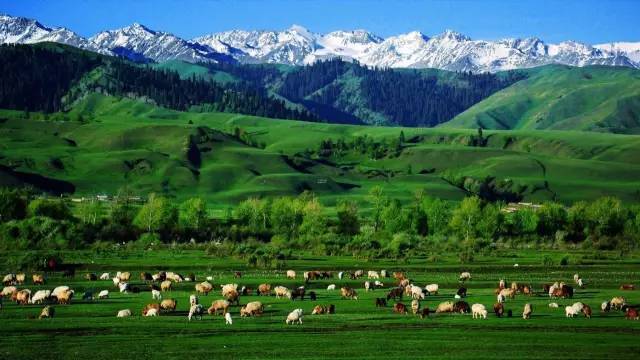 黑料社区手册 法律与道德灰色地带