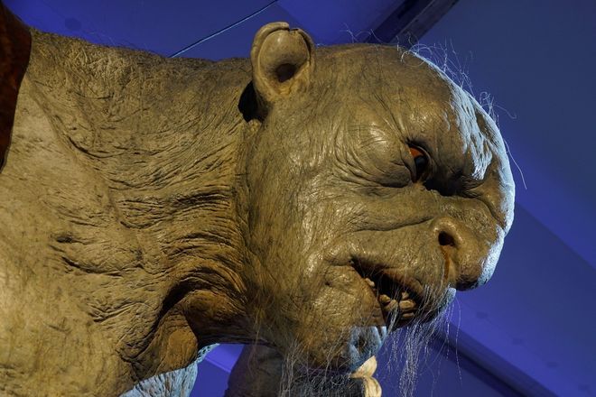 公公大干儿媳妇 我还没有学会回答这个问题