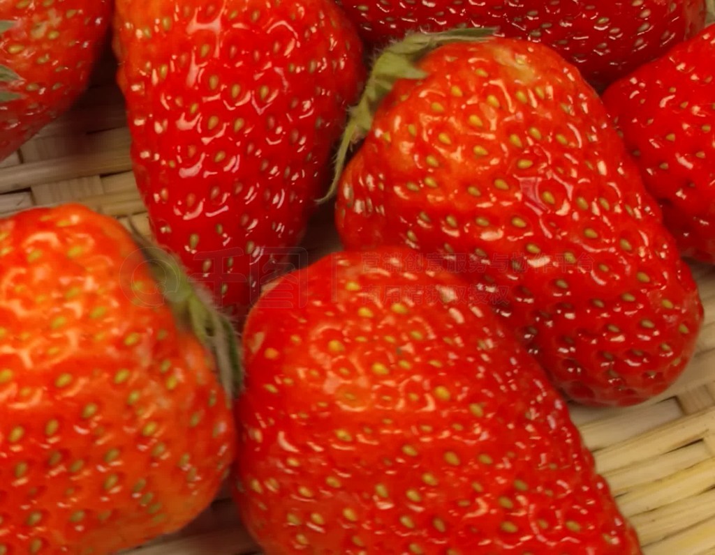 中国视频 算法推荐和流行挑战为特色