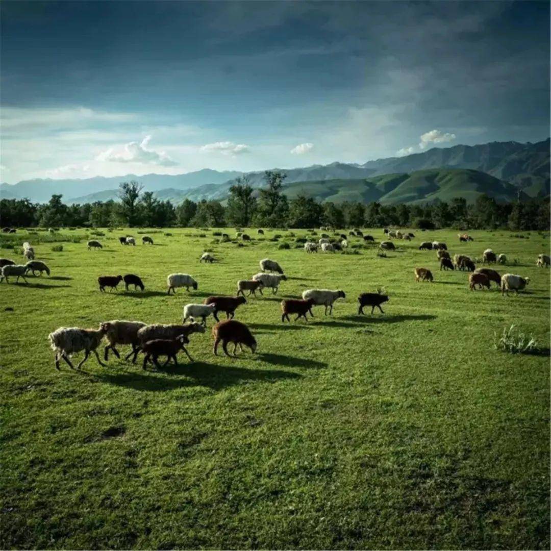 91男同 你的男同存在本身就有价值