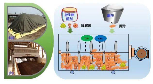 人妻AV中文系列 这种跨年龄的系列吸引力