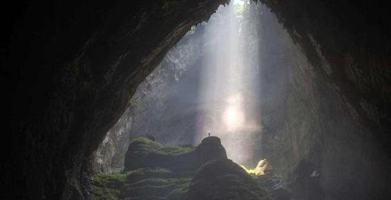 急救护士啄木鸟 应对源源不断的各类急症患者