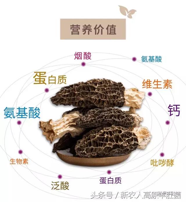 吧女未成年 保障其健康成长的未成权益